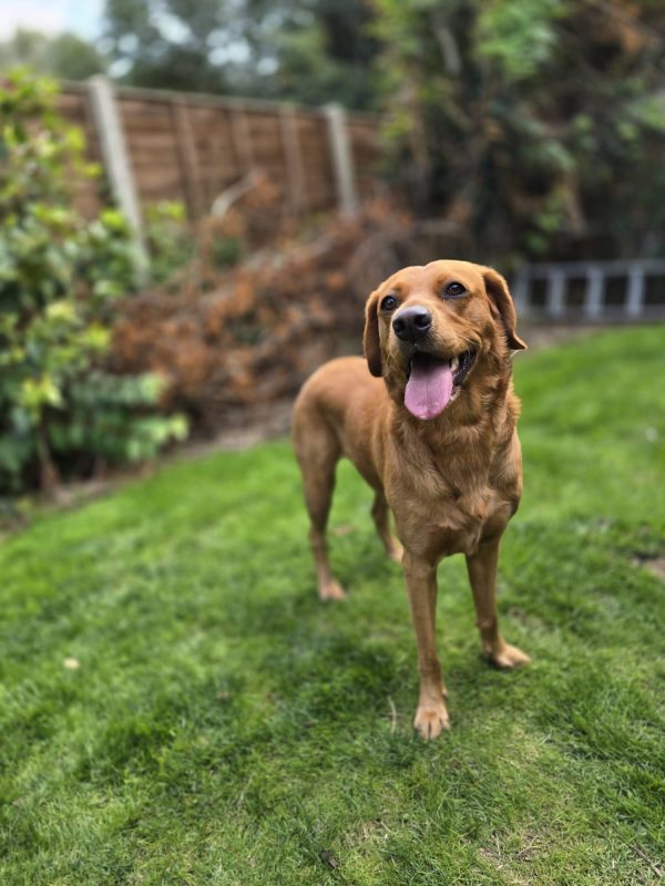 Ruby